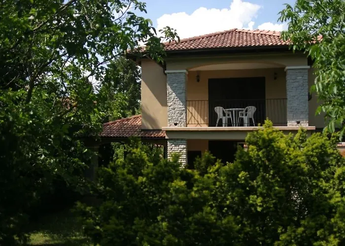 Mediterran * Zamárdi